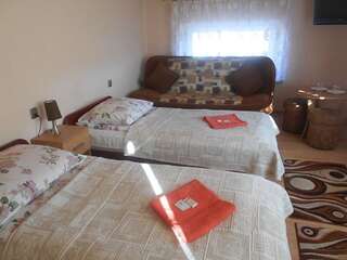 Отели типа «постель и завтрак» Hotelik Gościnny Радзынь-Подляский Семейный номер с общей ванной комнатой-3