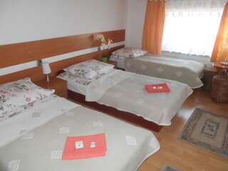 Отели типа «постель и завтрак» Hotelik Gościnny Радзынь-Подляский Двухместный номер с 1 кроватью и общей ванной комнатой-1