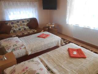 Отели типа «постель и завтрак» Hotelik Gościnny Радзынь-Подляский Семейный номер с общей ванной комнатой-2